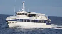 Navă de feribot de vânzare