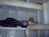 Remorcher de vânzare