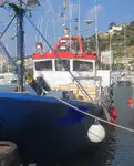 Nava de pescuit tip trauler de vânzare