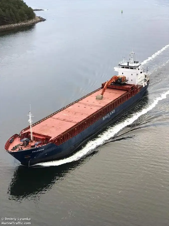 Nava de transport marfă vrac de vânzare