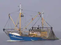 Trawler de vânzare