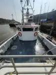 Catamaran de vânzare