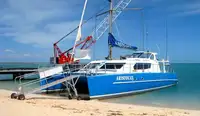 Catamaran de vânzare