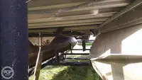 Nava container de vânzare