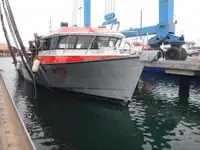 Bărci de lucru de vânzare