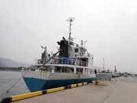 General Cargo/Multi-purpose de vânzare