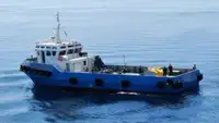 Remorcher de vânzare