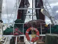 Nava de pescuit tip trauler de vânzare