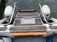 Catamaran de vânzare