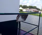 Remorcher de vânzare
