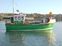 Navă de pasageri de vânzare