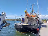 Longliner de vânzare