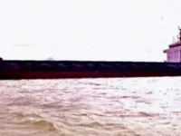 Nava de transport marfă vrac de vânzare