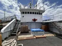 Nava de pescuit tip trauler de vânzare