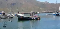 Nava de pescuit tip trauler de vânzare