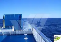 Ro-Ro ship de vânzare