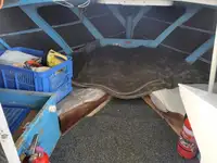 Nava de pescuit tip trauler de vânzare