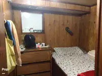 Nava de pescuit tip trauler de vânzare