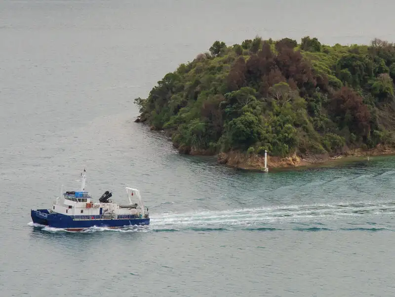 Catamaran de vânzare