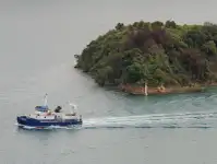 Catamaran de vânzare