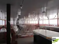 Navă de croazieră de vânzare