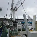 Nava de pescuit cu plase purseine de vânzare