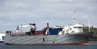 Nava refefer de vânzare