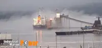 Nava de transport marfă vrac de vânzare