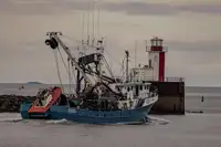 Nava de pescuit cu plase purseine de vânzare