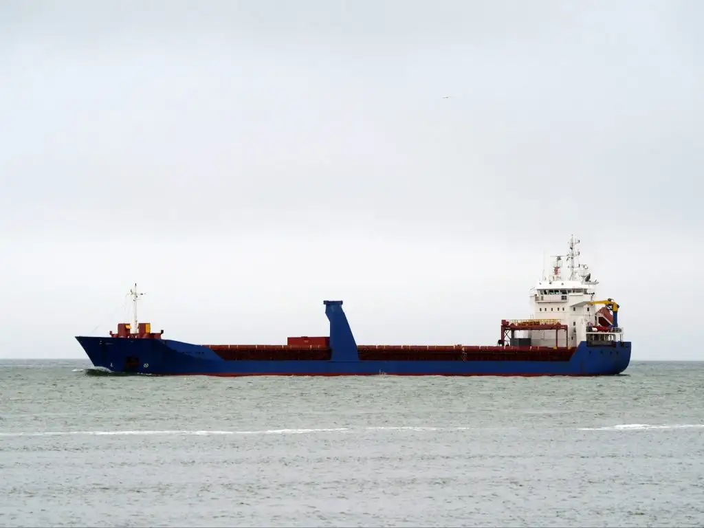 Nava de transport marfă vrac de vânzare