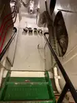 Remorcher de vânzare