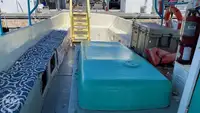 Navă de croazieră de vânzare