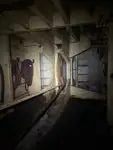 Dragă de vânzare