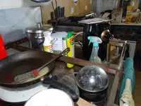 Ambarcațiuni de lucru de vânzare
