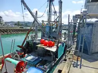 Trawler de vânzare
