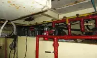 Navă pilot de vânzare