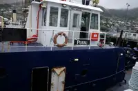 Remorcher de vânzare