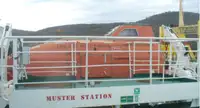 Nava de transport marfă vrac de vânzare