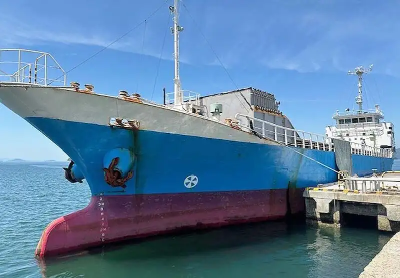Nava de transport marfă vrac de vânzare