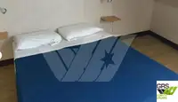 Navă Ro-Ro de vânzare