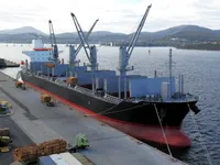 Nava de transport marfă vrac de vânzare