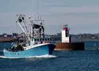 Purse seiner de vânzare
