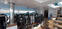 Navă de croazieră de vânzare