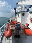 Nava de transport marfă vrac de vânzare