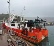 Nava de pescuit tip trauler de vânzare
