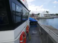 Catamaran de vânzare
