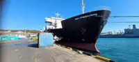 Ro-Ro ship de vânzare
