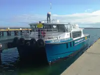 Catamaran de vânzare