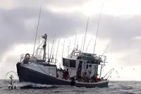 Nava de pescuit tip trauler de vânzare