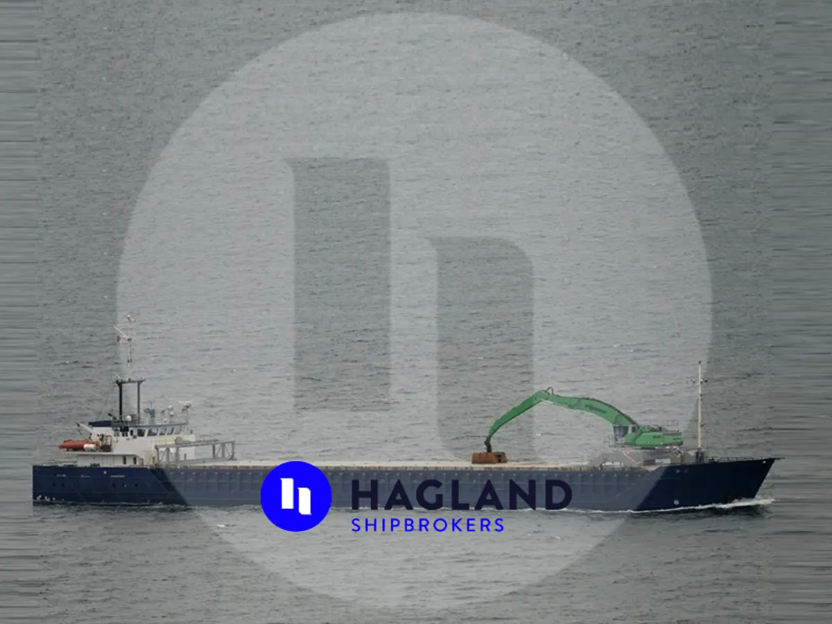 General Cargo/Multi-purpose de vânzare